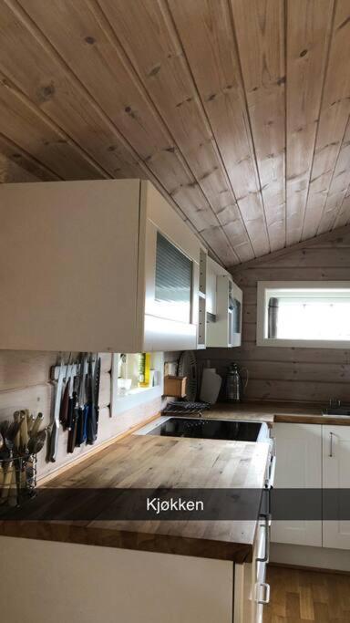 Koselig Familiehytte Pa Vakre Dagali - Naer Geilo エクステリア 写真